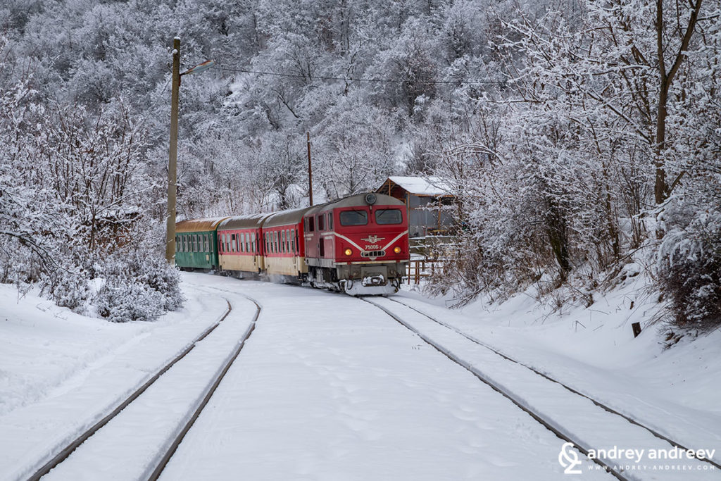 train in a snow covered scenery